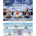 【全套6入組】RE-MENT 史努比天氣盆景品 SNOOPY 盒玩