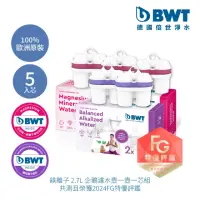 在飛比找momo購物網優惠-【BWT 德國倍世】鹼性離子濾芯2入 + 鎂離子濾芯 3入(