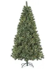 Sterling Tree Company 6 Foot Cashmere Pine Tree With 412 Tips And 400 Ul Incandescent Lights