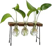 MYCENSE Glass Vase Hydroponic Flower Vase Display Flowers Table Centerpiece with Wooden Stand Plant Terrarium Simple for Dining Table Living Room, Three Bottles