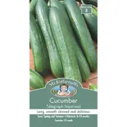 Mr Fothergill's Cucumber Telegraph Seeds