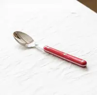 在飛比找友和YOHO優惠-[日本製] 高桑金属 燕三條 BISTRO復古餐匙(紅色)