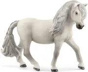 Iceland Pony Mare