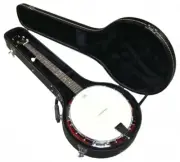 Zenison 5-String Traditional Bluegrass Banjo Remo Head Closed Back Hard Case