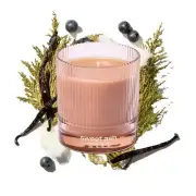 Sweet Ash Scented Candle by Snif Low-Key Sweet and Earthy Scent 50+ Hours 100...