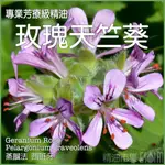 精油市集-玫瑰天竺葵GERANIUM ROSE 10ML【芳療師指定購買】