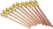 GANAZONO 10pcs Brass Maintenance Valve Service Valve for Air Conditioning System Leak-Down Test Compatible