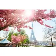 Save 20.00%! Live, Laugh, Love Along the Seine: Self-Guided Romantic Tour