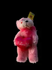 Smitten the Bear - Beanie Kid ID: BK 508. A346-C3