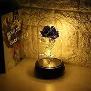 Haofy Live Forever Flower,24K Gold Roses Flowers with LED Light, Her Valentine's Day Christmas Mother's Day Birthday,Home Decoration Party Wedding Anniversary (Blue)