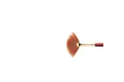 Winsor & Newton Sceptre Gold II Series 808 Fan Paint Brush Short Handle Size 6