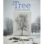 THE TREE IN PHOTOGRAPHS