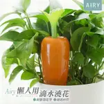 【AIRY 輕質系】胡蘿蔔自動澆花神器