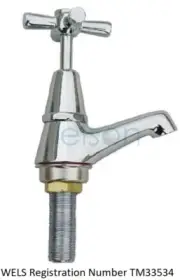 Elson EASYCLEAN VANDAL PROOF PILLAR TAP w/Handles & Buttons, WELS 3-Star, Chrome