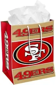 FOCO NFL Unisex 2014 Medium Gift Bag