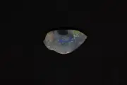 Opalised Fossil Shell From Lightning Ridge, Australia