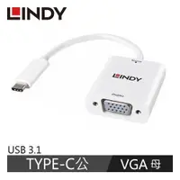 在飛比找蝦皮商城優惠-LINDY林帝 主動式 USB3.1 TYPE-C公 To 