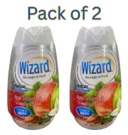 Wizard Solid Air Freshener 7.8oz, Apple Cinnamon & Vanilla, Pack of 2