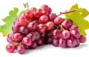 FRESH RED SEEDLESS GRAPES