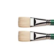 2x Winsor & Newton WOC Winton Hog Short Flat/Bright Paint Brush Painting Size 8