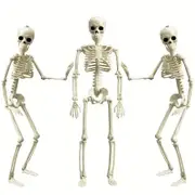 Set 3pcs 40.64cm Posable Halloween Skeleton Decorations Haunted Houses, Graveyards, and Indoor Outdoor