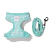 All Day Picnic Time Kitten Harness & Lead Set Mint