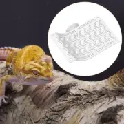 Reptile Hammock Tank Accessories Lizards Lounger for Geckos Small Pets