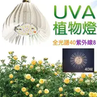 在飛比找ETMall東森購物網優惠-君沛植物燈 UV植物燈 40瓦 紫外線全光譜 植物燈泡 UV