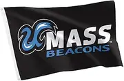Desert Cactus UMass Boston 100% Polyester Indoor Outdoor 3x5 feet Banner (Flag D)
