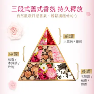 【SAHOLEA森歐黎漾】薔式淨透三冠王 洗髮精三入+負離子吹風機組(水漾+淨平衡+茶樹)