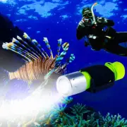 Linterna De Buceo De Lumen Profesional 1100 Xm-L2 Submarino Bright Subfo Nueva