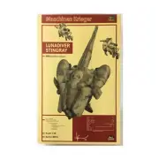 Hasegawa Model Kit Lunadiver Stingray SW (New)