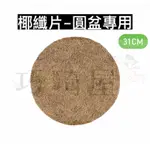 ｜巧琦屋｜圓形花盆用椰纖片-31CM  避免花土肥料流失 栽培盆 荷蘭盆