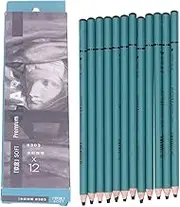 12PCS Charcoal Pencils, Graphite Sketching Pencils, Drawing Pencils, Charcoal Pencil Set, Art Pencils, Art Sketching Pencils Set for Detailed Drawing Sketching