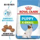 缺-法國皇家Royal Canin/XJ31(XSP) 超小型幼犬專用飼料 1.5KG (3182550793612)