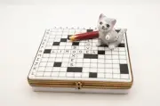 New French Limoges Trinket Box Gray Cat on Crossword Puzzle I Love Limoges Boxes