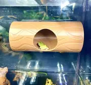 Gecko Frog Log Hide Wall Decor Amphibian Reptile Tank Enrichment Decoration