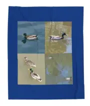 Dark Blue 50x60 Mallard Ducks Plush Blanket