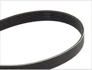 belt Replace# 7PK1629 AUTO-MOHITO 1pack