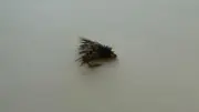 1 DOZ DF-5 BEAD HEAD HOT WIRE CADDIS TAN (SELECT YOUR SIZE) NYMPH
