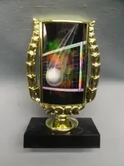 volleyball insert trophy spike ball and net award black base