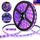 5M 300 LED Blacklight UV LED Black Light Ultraviolet Strip Disco Club Party Lamp