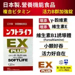 日本【活力B群 EX PLUS加強錠120錠 】維生素B群 小顆好吞 方便快速 強效B群 日本製造 日本原裝