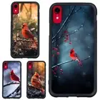 Plastic TPU Cover For iPhone XS 11 12 13 14 15 16 Pro Max Bird Red Cardinal snow