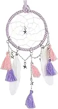 Alipis Creative Tassel Dreamcatcher Wall Hanging Ornament Exquisite and Star Decoration for Home Decor Room and Photography Props