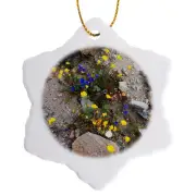 3dRose, Fargo Canyon springtime wildflowers, California, Ornament