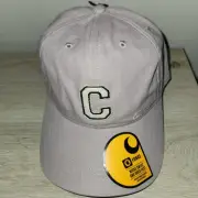 Carhartt Canvas C Patch Light Purple Cap Hat One Size AH6302 Cotton Adjustable