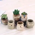 Animal Owl Shape Outdoor Decoration Mini Succulent Pot Flower Pot Ceramic