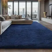 Shag Area Rugs for Bedroom Living Room,Ultra Soft Fluffy Area Rugs for