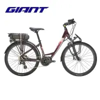 在飛比找露天拍賣優惠-Giant捷安特Tour DX E低跨點旅行長程8速智能電動